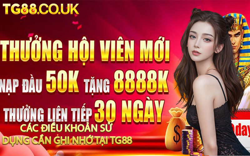 Các Điều Khoản Sử Dụng Cần Ghi Nhớ Tại TG88