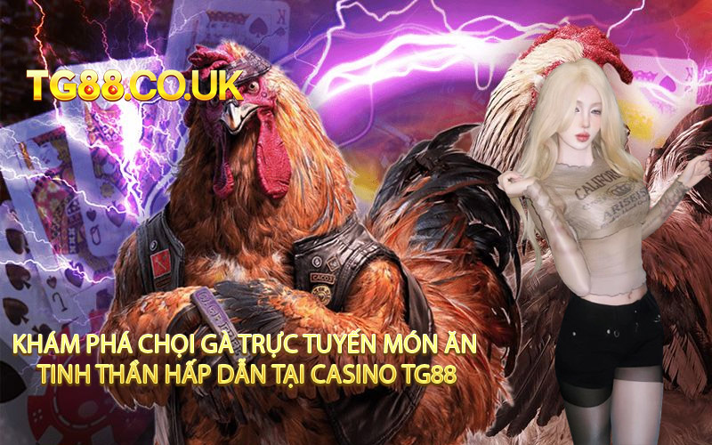 Khám Phá Chọi Gà Trực Tuyến Món Ăn Tinh Thần Hấp Dẫn Tại Casino TG88